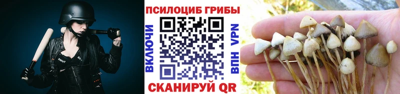 Купить закладки  Великий Новгород  Галлюциногенные грибы мицелий 